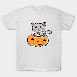 Cat in a Pumpkin T-Shirt